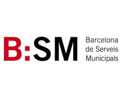 BSM