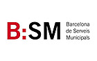 BSM